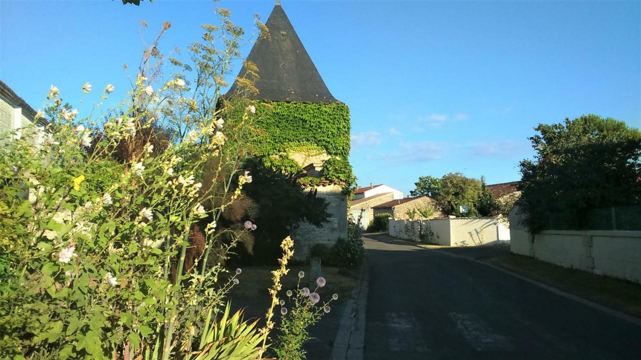 Les Gites Du Vigneron Et Cd'H Saint-Seurin-de-Palenne Exterior photo