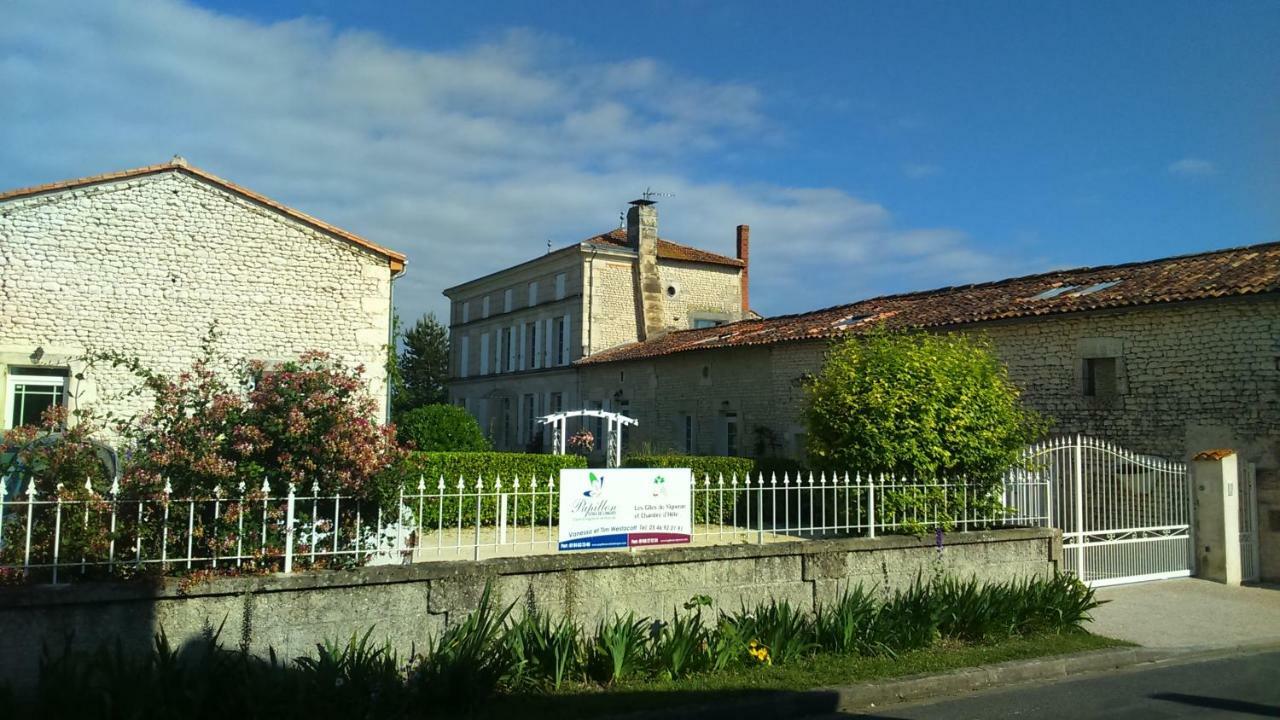 Les Gites Du Vigneron Et Cd'H Saint-Seurin-de-Palenne Exterior photo